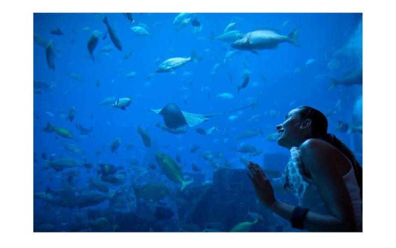 Aquarium Cattolica Italy